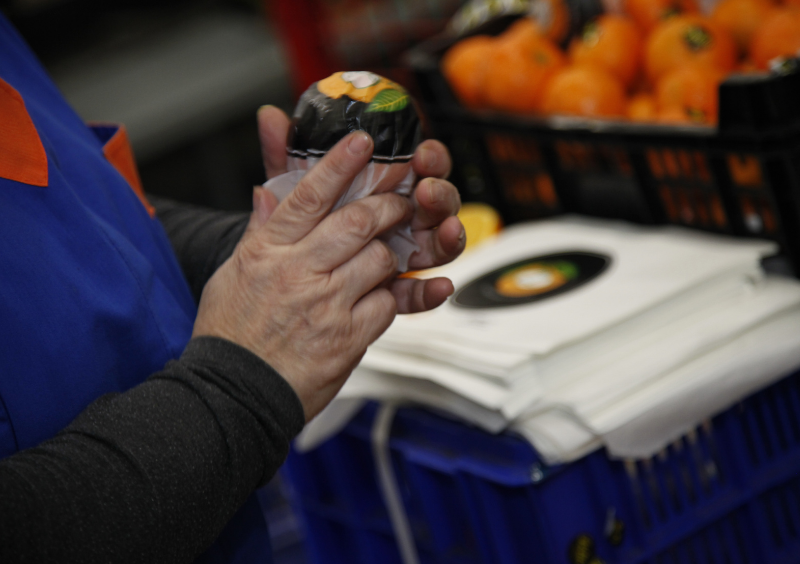 Pla Faus Almacen Distribuidor naranjas Comunidad Valenciana