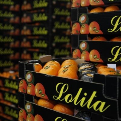 Naranjas Lolita marca premium Pla Faus distribuidor de naranjas y mandarinas