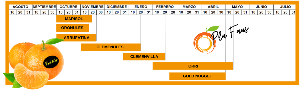 Fechas calendario temporada mandarinas premium PLA FAUS - plafaus.es